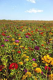 《法师死斗》开发商“新感觉动作游戏”《深渊记忆》公布